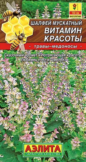 Лекарственные травы Шалфей мускатный Витамин красоты