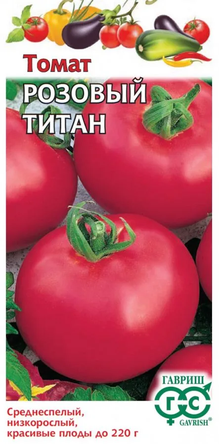 Томат Розовый титан