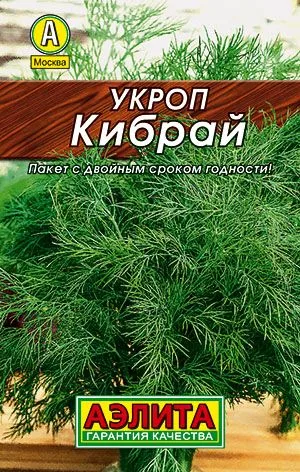 Укроп Кибрай