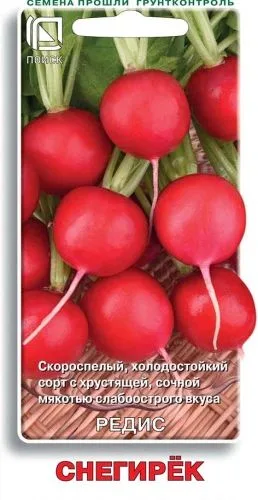 Редис Снегирек
