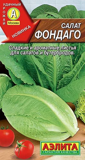 Салат Фондаго