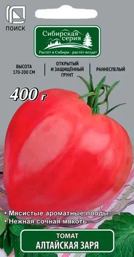 Томат Алтайская заря