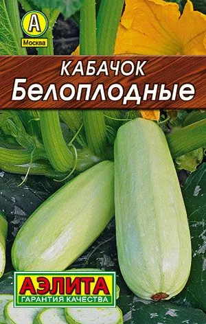 Кабачок Белоплодные