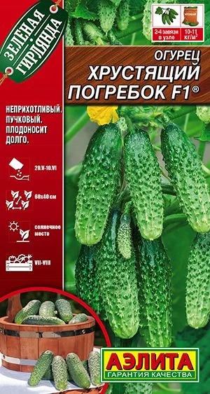 Огурец Хрустящий погребок F1 ®