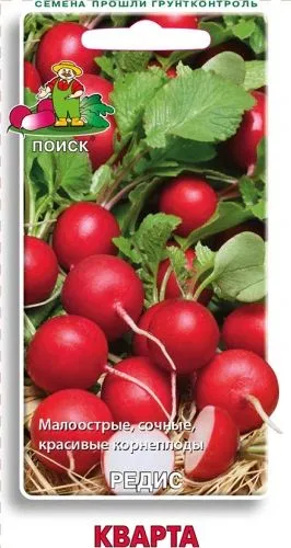 Редис Кварта