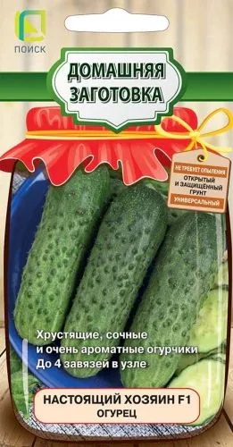Огурец Настоящий хозяин F1