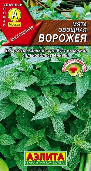 Пряные травы Мята овощная Ворожея