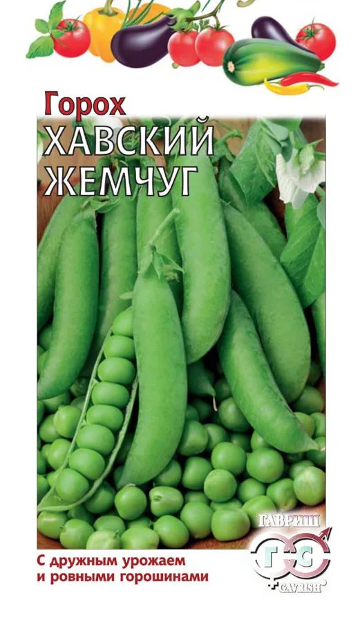 Фасоль Хавский жемчуг