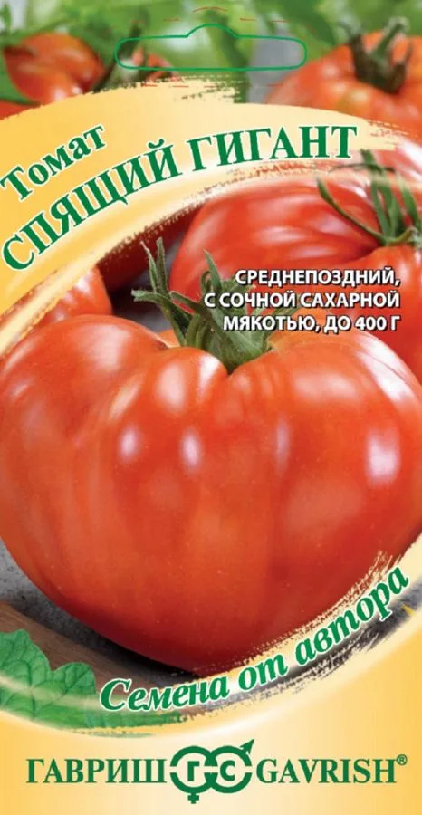 Томат Спящий гигант