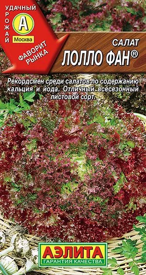 Салат Лолло фан листовой