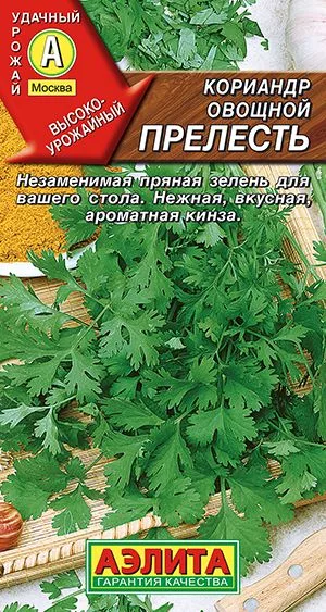 Кинза Кориандр овощной Прелесть