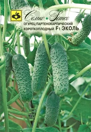 Огурец Эколь F1
