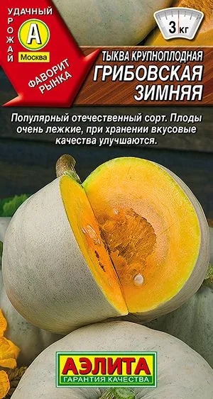 Тыква крупноплодная Грибовская зимняя