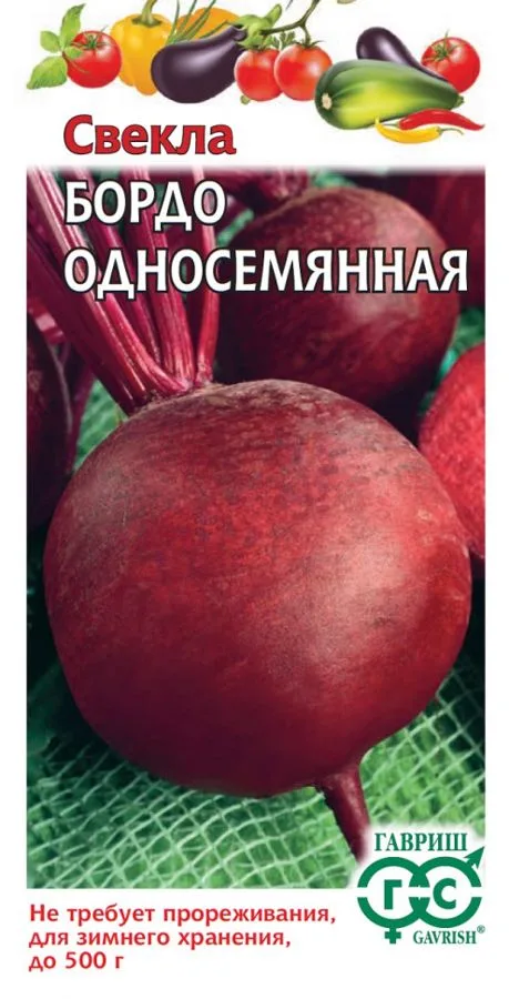 Свёкла Бордо односемянная
