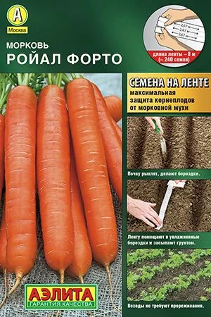 Морковь Ройал форто