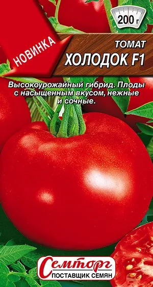 Семена: Томат Холодок F1
