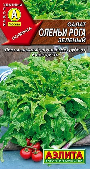 Салат Оленьи рога зеленый
