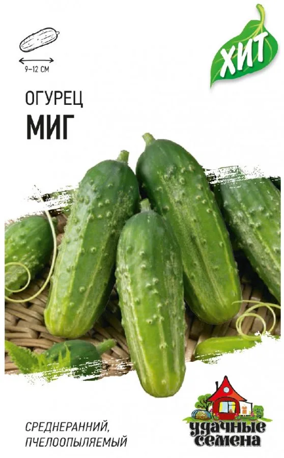 Семена: Огурец Миг