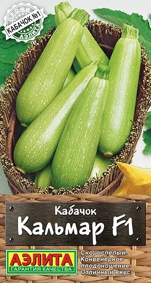 Кабачок цуккини Кальмар F1
