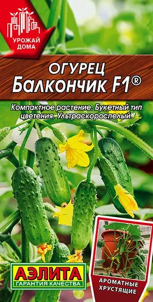 Семена: Огурец Балкончик F1