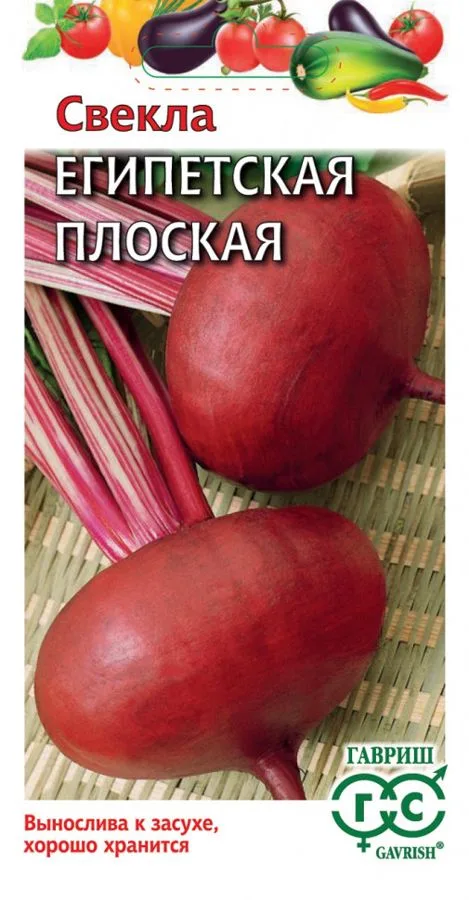 Свёкла Египетская плоская