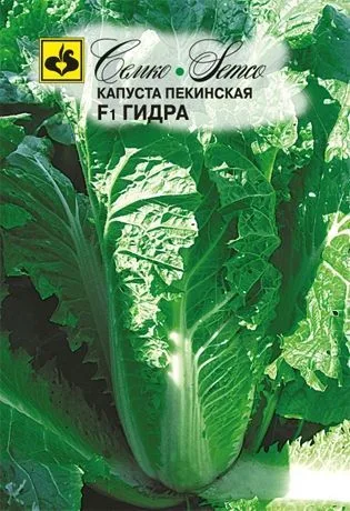 Капуста Гидра F1