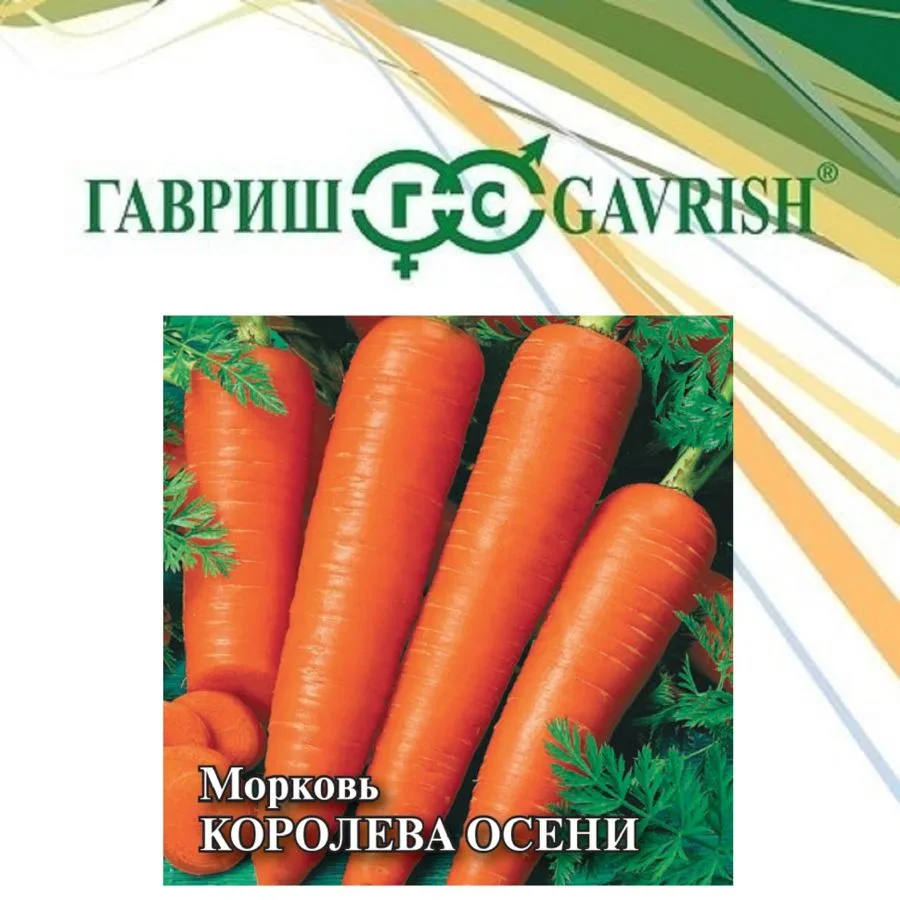 Морковь Королева Осени