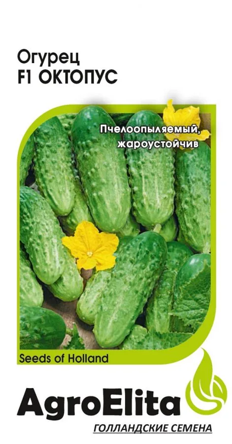Семена: Огурец Октопус F1