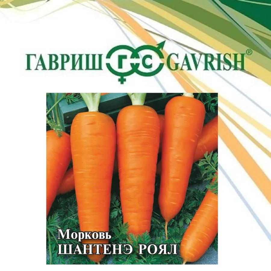 Морковь Шантенэ Роял
