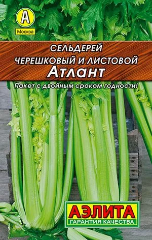 Сельдерей черешковый и листовой Атлант