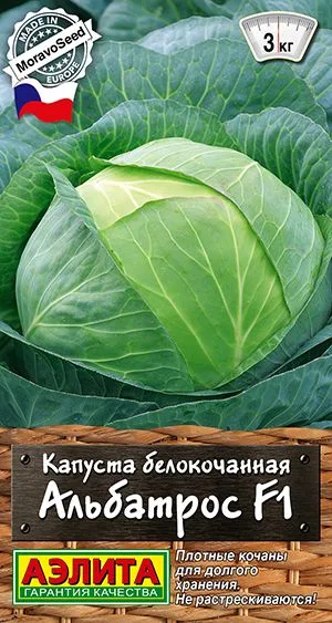 Капуста белокочанная Альбатрос F1