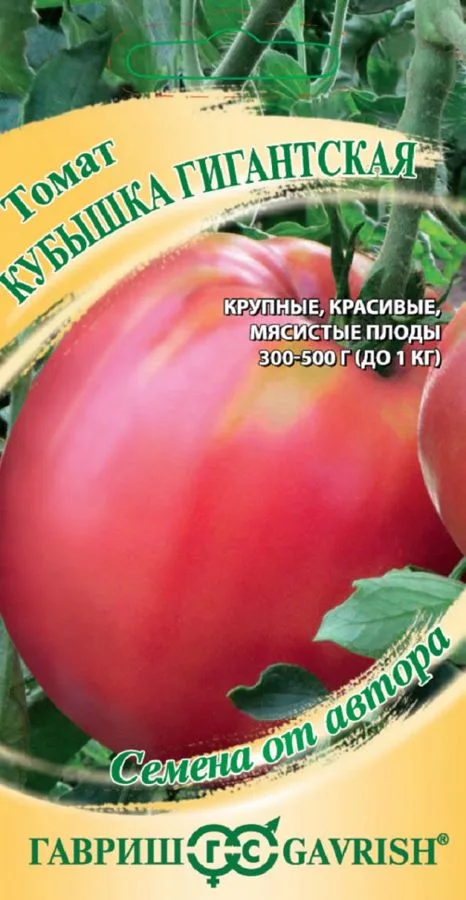 Томат Кубышка гигантская