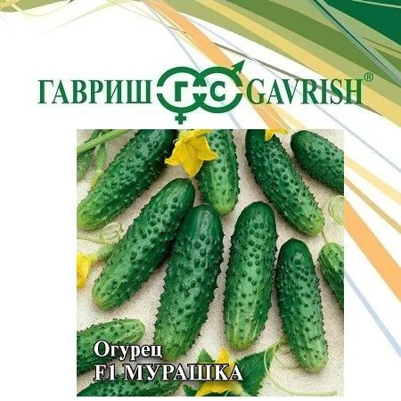 Огурец Мурашка F1