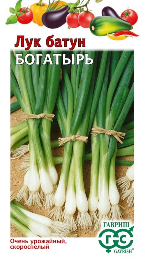 Лук батун Богатырь