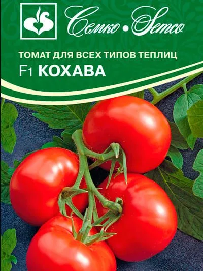 Томат Кохава F1