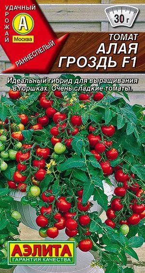 Томат Алая гроздь F1
