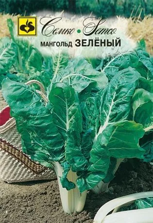 Семена: Салат Зеленый