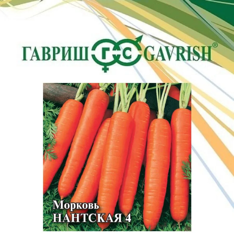 Морковь Нантская 4