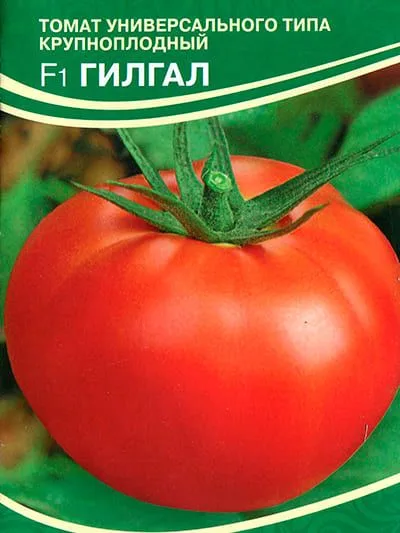 Томат Гилгал F1