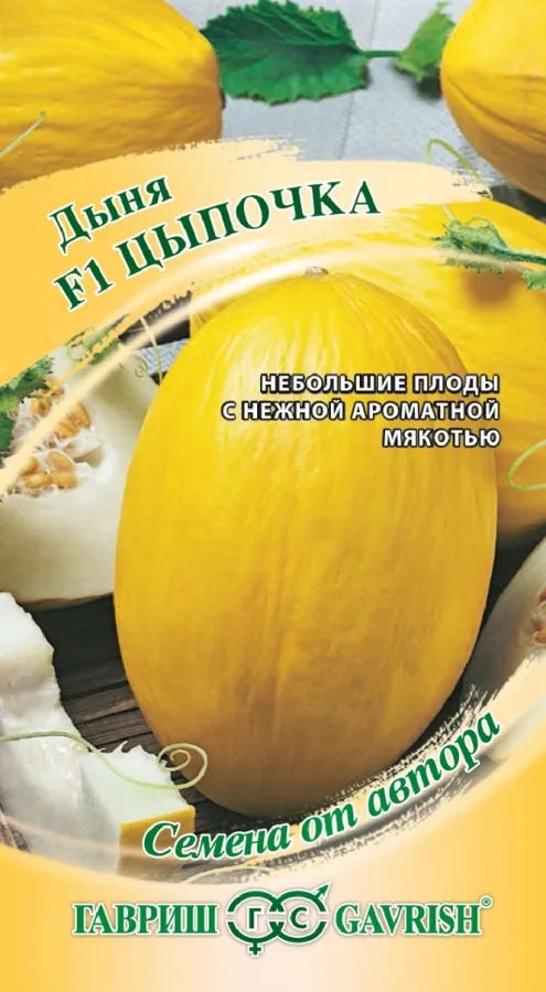 Дыня Цыпочка F1