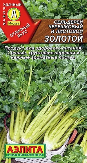 Сельдерей черешковый Золотой