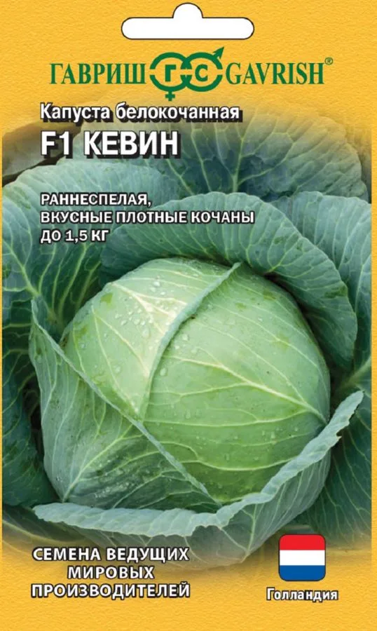 Капуста белокочанная Кевин F1