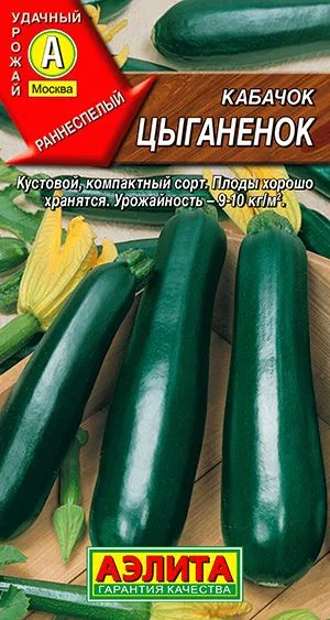 Кабачок цуккини Цыганенок