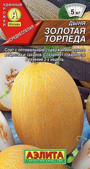 Дыня Золотая торпеда