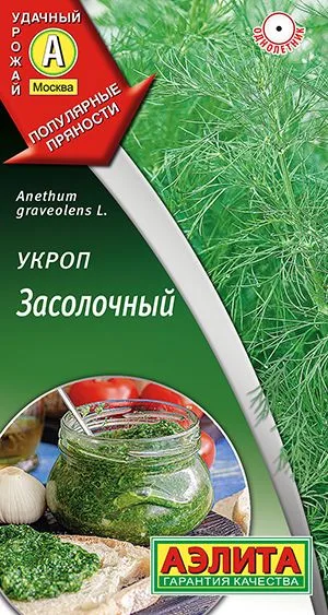 Укроп Засолочный