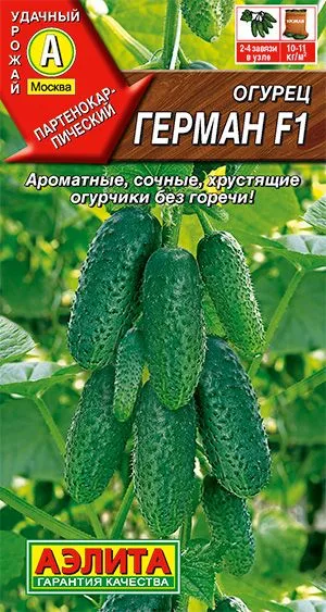 Семена: Огурец Герман F1