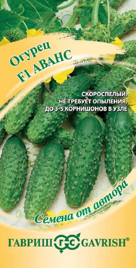 Семена: Огурец Аванс F1