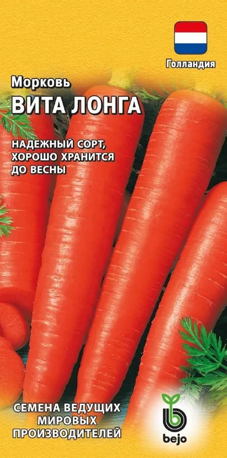 Морковь Вита Лонга