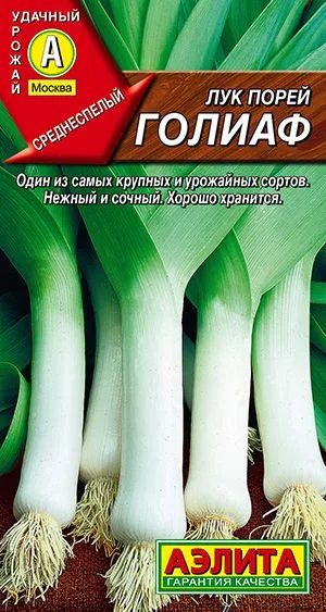 Лук порей Голиаф