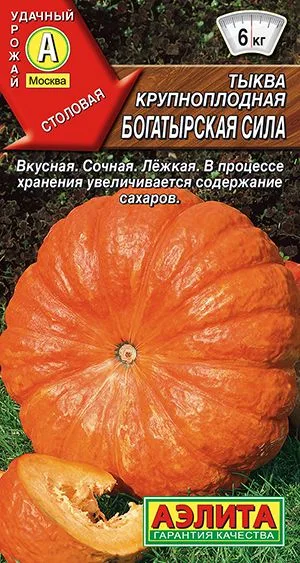 Тыква крупноплодная Богатырская сила